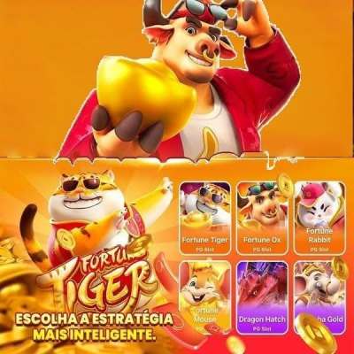14winbet